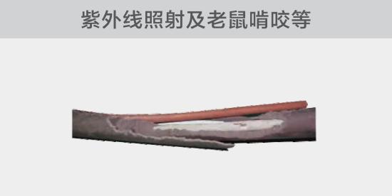 裸露絕緣故障經常是由於陽光的紫外線輻射或者鼠害造成的損傷